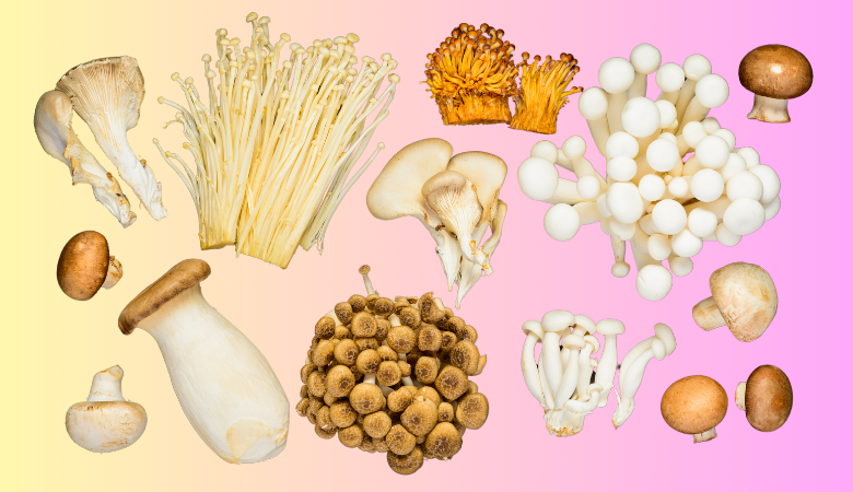 What are Adaptogenic Mushrooms Cover Photo