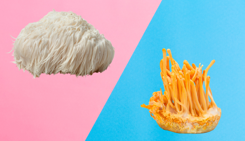 Cordyceps vs Lion's Mane Mushroom: Health Benefits Compared - Lucid™