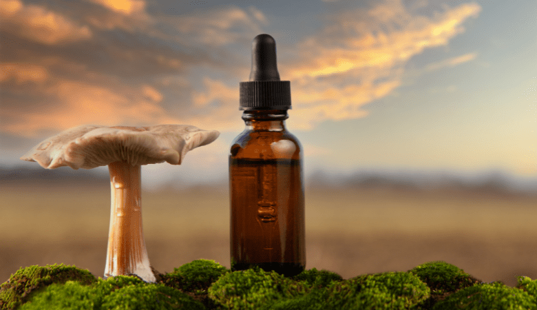 Dual Extract Mushroom vs Hot Water Extract: Which is Best for Mushroom Supplements? - Lucid™