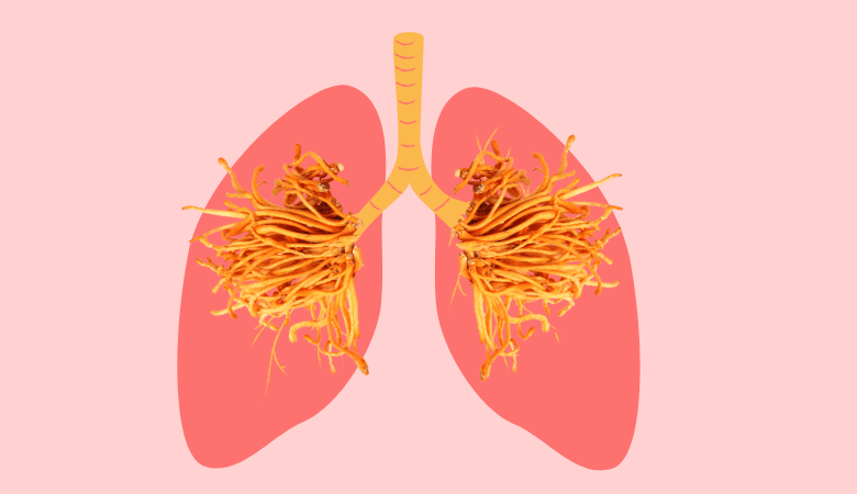 How Cordyceps Benefits Lungs + Boosts Oxygen to Support Longevity - Lucid™
