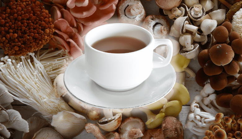 How to Make Mushroom Tea: The Magic and Medicinal Mushroom Guidebook - Lucid™