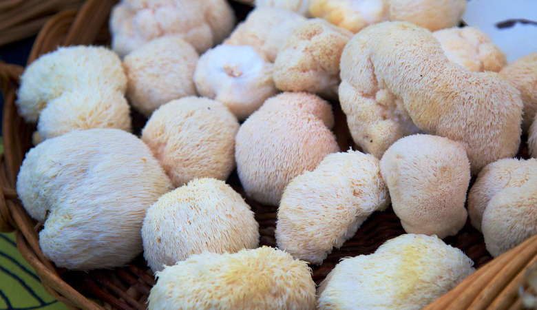 Lion’s Mane Mushrooms May Benefit Cognitive Function - Lucid™