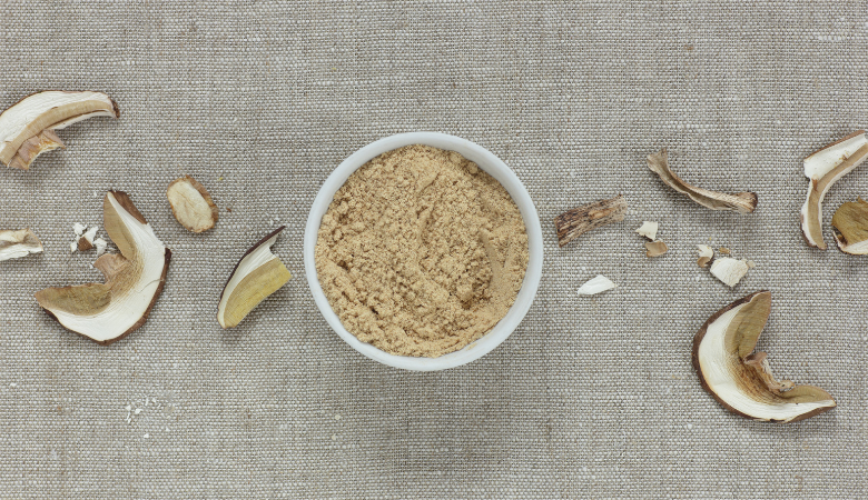Mushroom Powder vs Extract Cover Photo