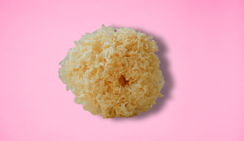 What is Tremella? Everything to Know About the Beauty Mushroom - Lucid™