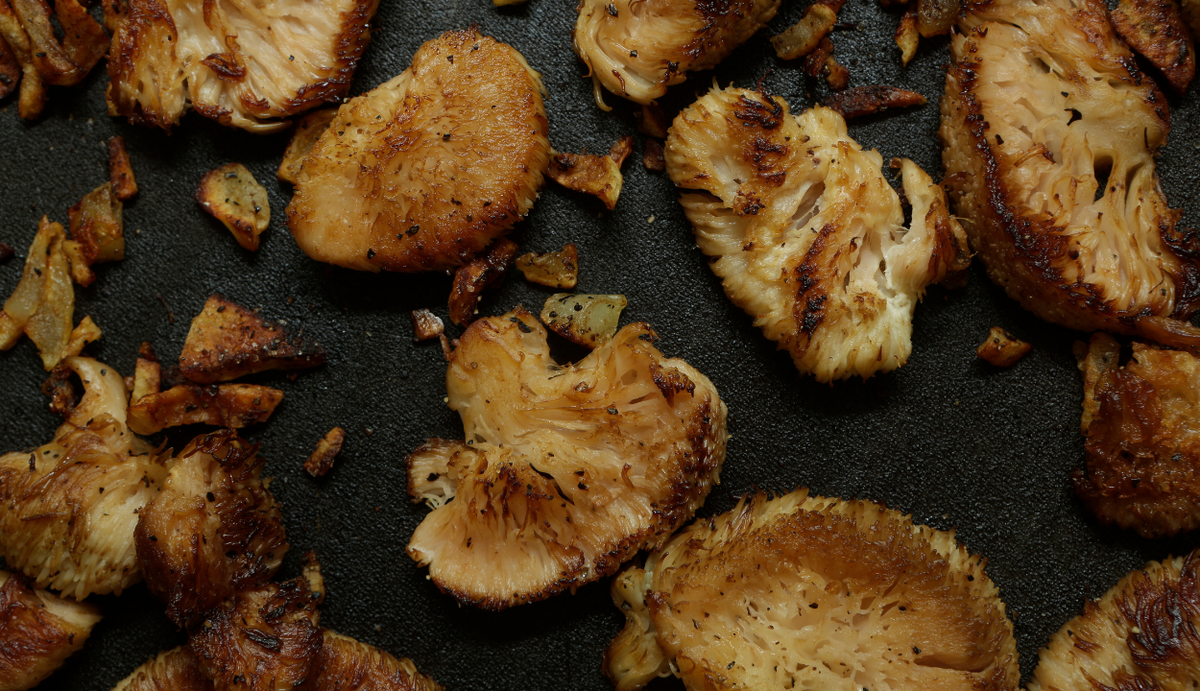 Where to Buy High-Quality Lion’s Mane Mushroom - Lucid™