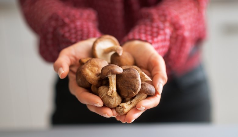 8 Best Mushrooms for Immune System Health - Lucid™