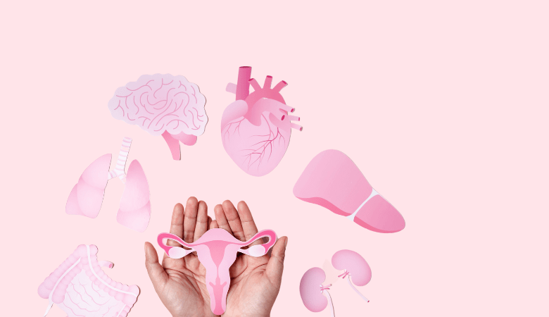 9 Mushroom Benefits for Women (For Beauty, Brain, & More) - Lucid™