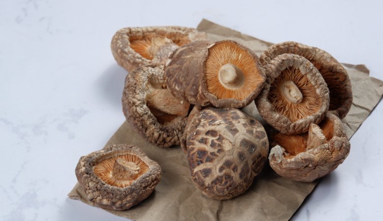 Asian Mushroom Medicinal Effects: Unveiling the Secrets of Anti-aging, Antioxidant, and More! - Lucid™