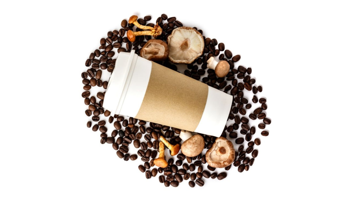 Benefits of Mushroom Coffee (& Quality Standards That Matter) Lucid™