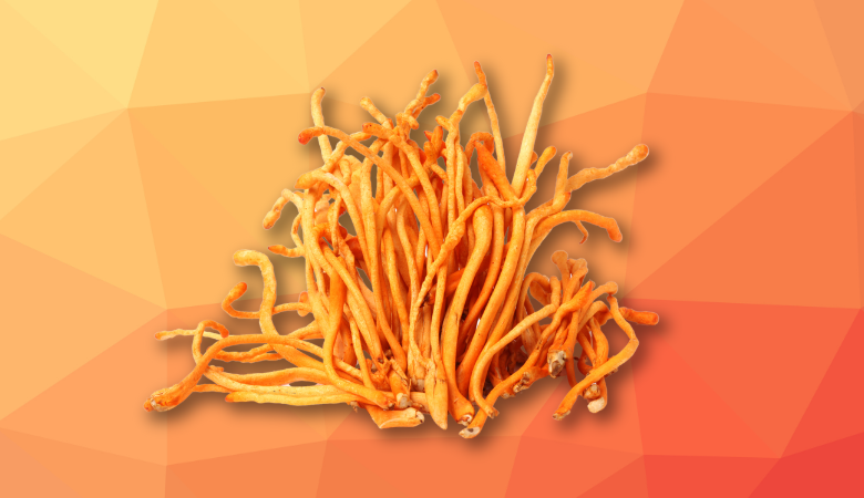 Best Time to Take Cordyceps for Optimal Benefits Cover Photo