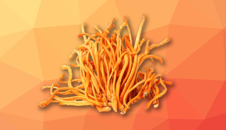 Best Time to Take Cordyceps for Optimal Benefits - Lucid™