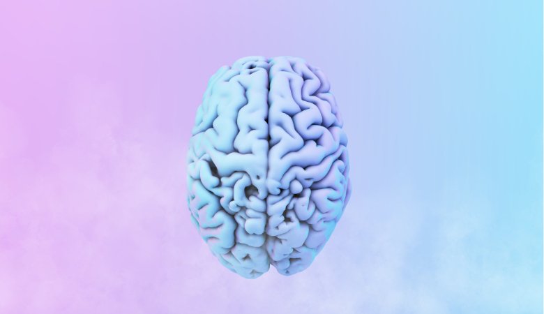Brain Fog Supplements: Do They Work? - Lucid™