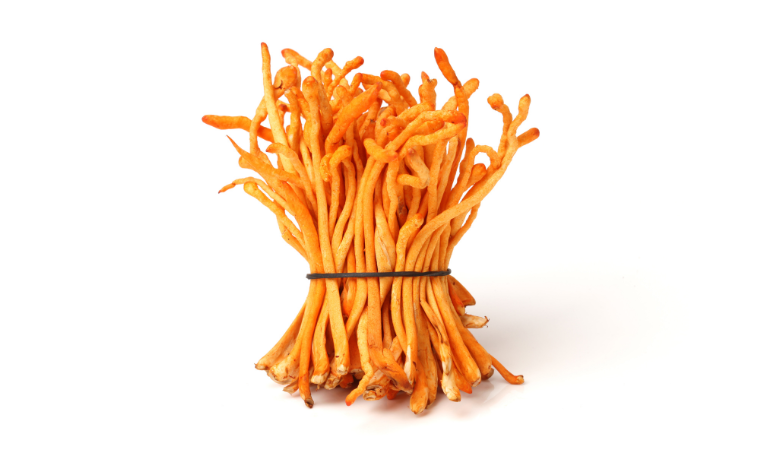 Does Cordyceps Increase Testosterone? (Hint: It's Called Natural Viagra) - Lucid™