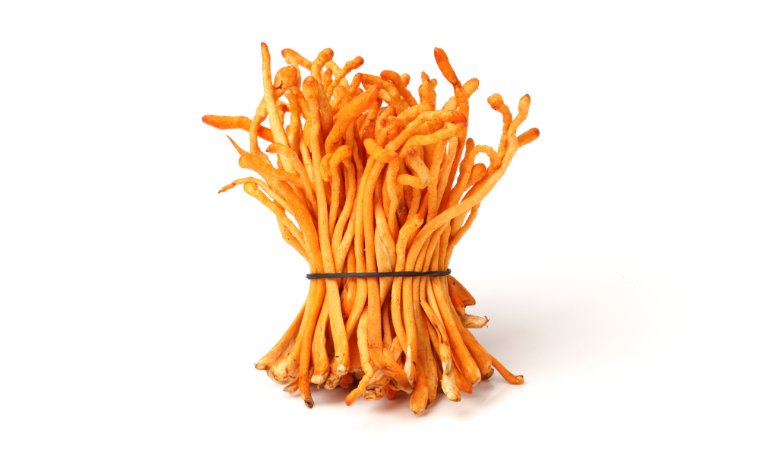 Can Cordyceps Boost Testosterone? (Hint: It's Called Natural Viagra) - Lucid™