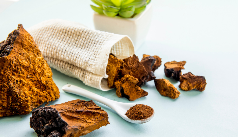 Chaga Mushroom Dosage Chart Cover Photo