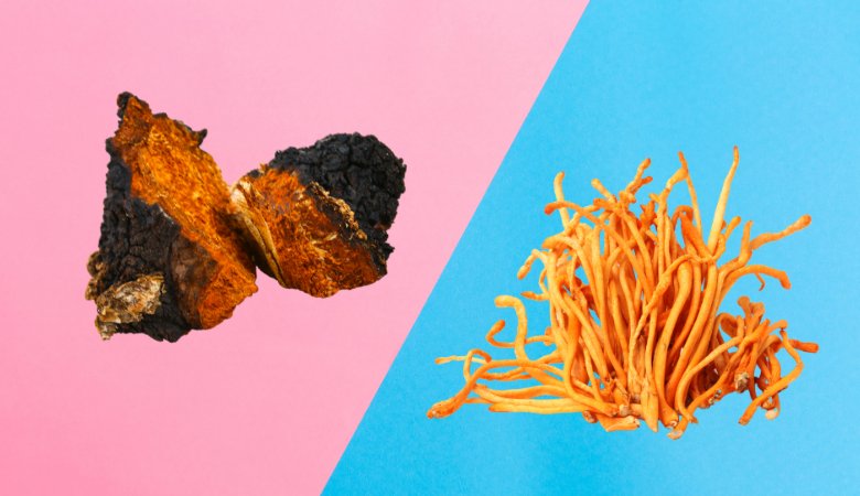 Chaga vs Cordyceps: Benefits & Which is Best For You? - Lucid™