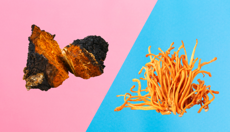 Chaga vs Cordyceps Cover Photo