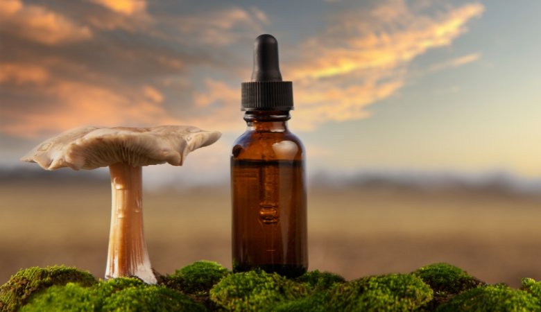 Hot Water, Alcohol, or Dual Extraction for Mushroom Supplements? Selecting the Best Extraction Method - Lucid™