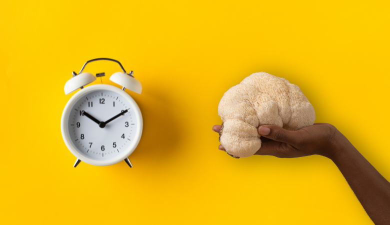 how long does it take for lions mane to work cover photo