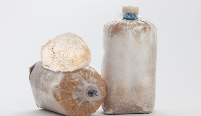 How to Grow Lion’s Mane Mushrooms in 5 Easy Steps - Lucid™