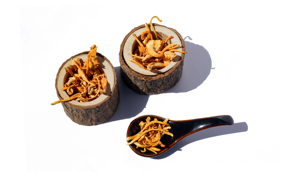 What is Cordyceps? - Lucid™