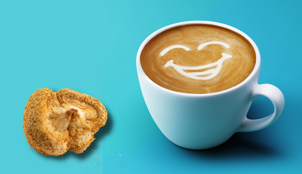 Lion's Mane Coffee Cover Photo