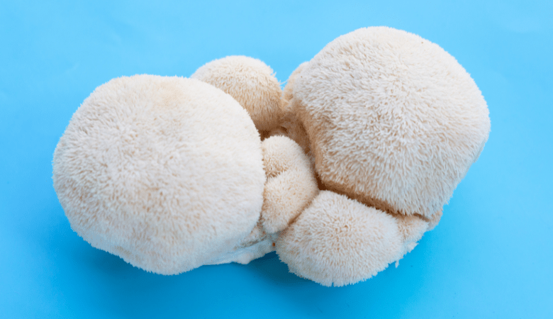 Lion’s Mane Dosage for Memory (+ How to Take It) - Lucid™