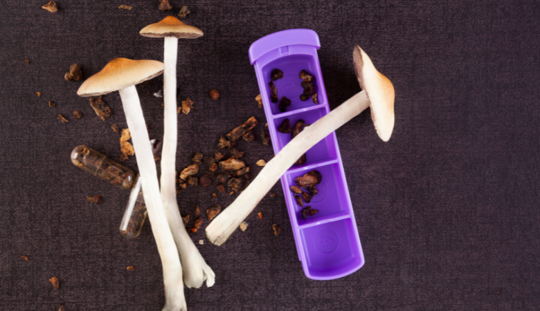 Microdosing with Mushrooms Cover Photo
