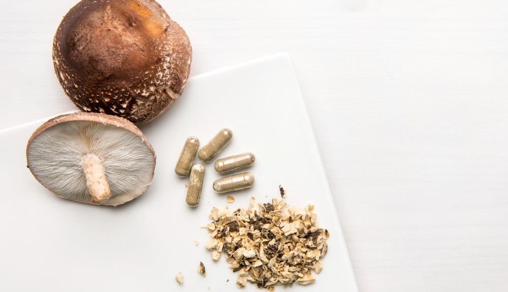 Mushroom Supplement Side Effects: Types, Risks, and Benefits - Lucid™