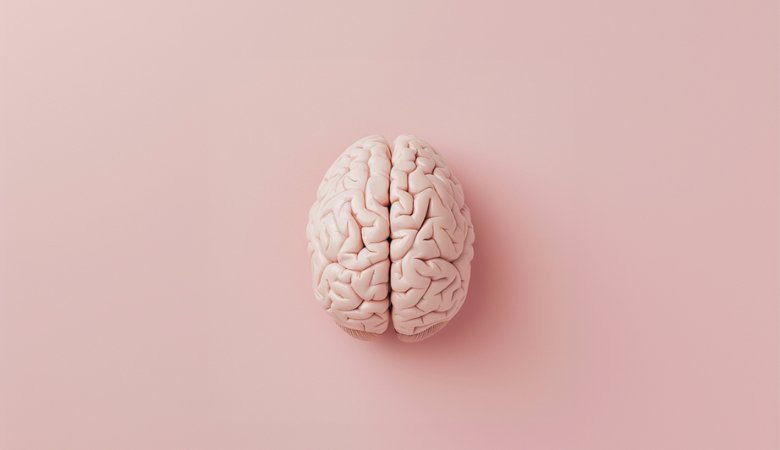 The Brain Benefits of Creatine: Exploring the Cognitive Enhancements - Lucid™