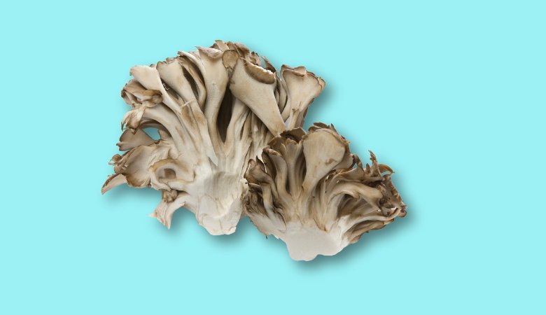 Top 5 Maitake Mushroom Benefits You Need to Know - Lucid™