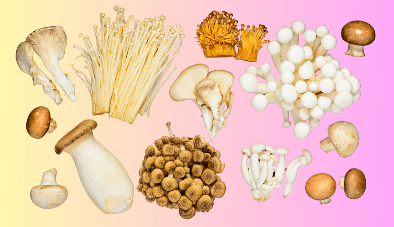 What are Adaptogenic Mushrooms? Benefits, Side Effects, & More - Lucid™