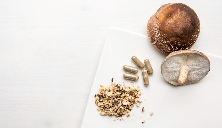 What Does the Term “Full Spectrum” Mean for Mushroom Products? - Lucid™