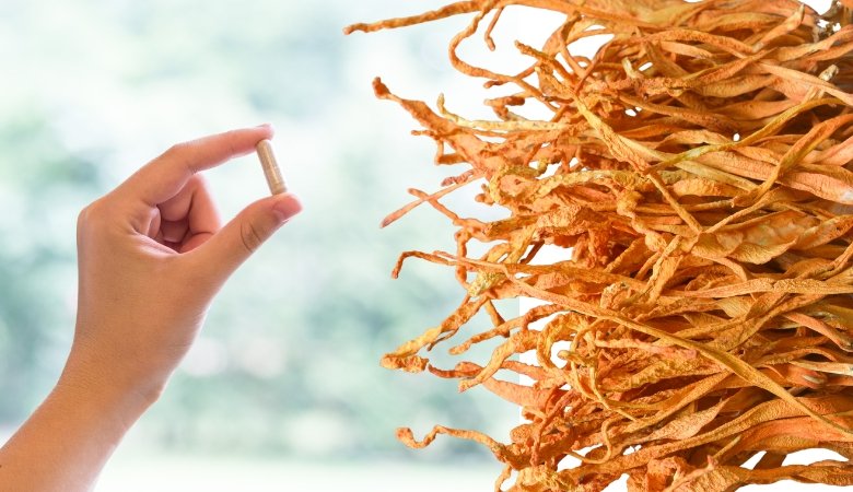 What is Cordyceps Used For? (Nootropic Benefits & More) - Lucid™