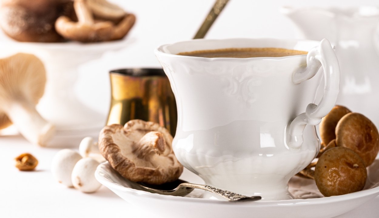The Best Mushroom Coffee: What to Look for & Where to Buy - Lucid™