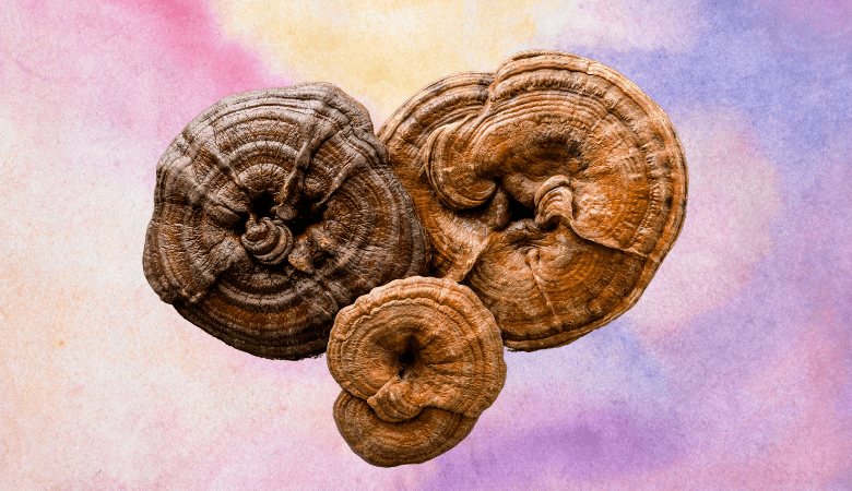 When to Take Reishi (+ How Long Does It Take Reishi Mushroom to Work?) - Lucid™