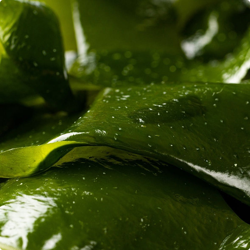 Prebiotics