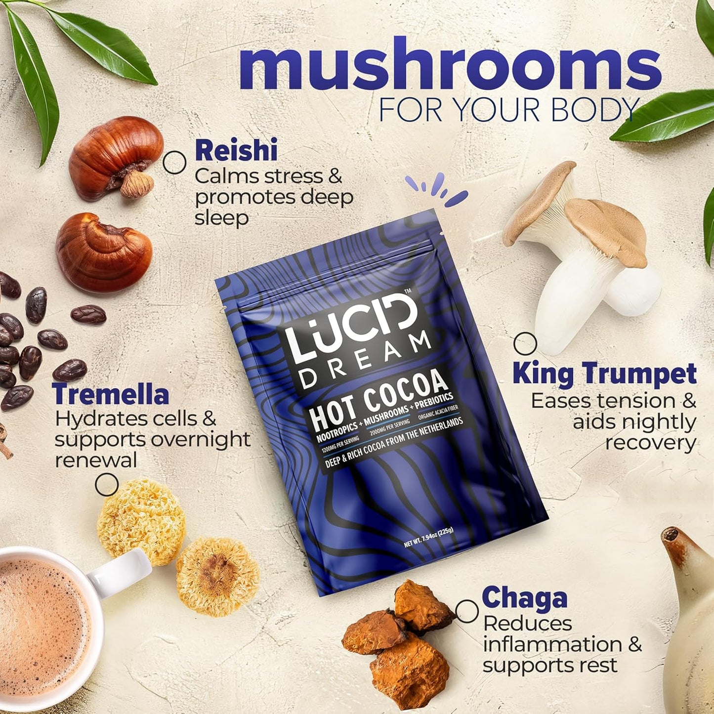 
                  
                    Lucid™ Dream Nootropic+Mushroom Cocoa - Lucid™
                  
                