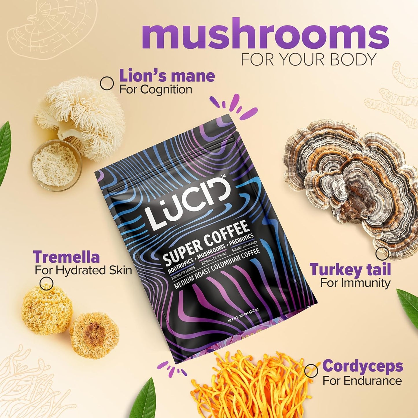 
                  
                    Lucid™ Nootropic+Mushroom Coffee - Lucid™
                  
                