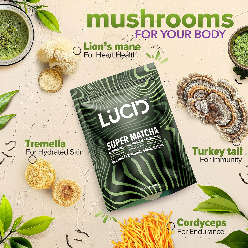 
                  
                    Lucid™ Nootropic+Mushroom Matcha - Lucid™
                  
                