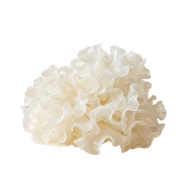 Tremella